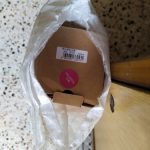 Sports Water Bottle BPA Free photo review