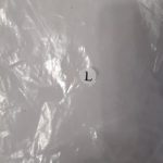 Knee Support Braces photo review