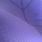 Yoga Mat with Position Lines 6 Colour Best Quality Material photo review