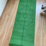 Yoga Mat with Position Lines 6 Colour Best Quality Material photo review
