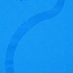 Yoga Mat with Position Lines 6 Colour Best Quality Material photo review