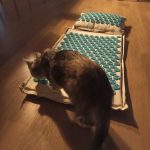 Yoga Acupressure Mat and Pillow Set 8 Fun Colour photo review