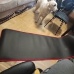 Yoga Mat Extra Thick 10 MM Non-slip with Bandages photo review