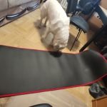 Yoga Mat Extra Thick 10 MM Non-slip with Bandages photo review