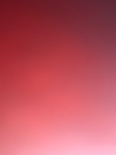 Womens Seamless High Waisted Leggings photo review