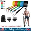 Resistance Band Set With Handle and Door Anchor (13pc) - Resistance Band - Only Fit Gear