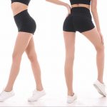 Gym Shorts for Women Seamless High Waist 10 Colour - Only Fit Gear