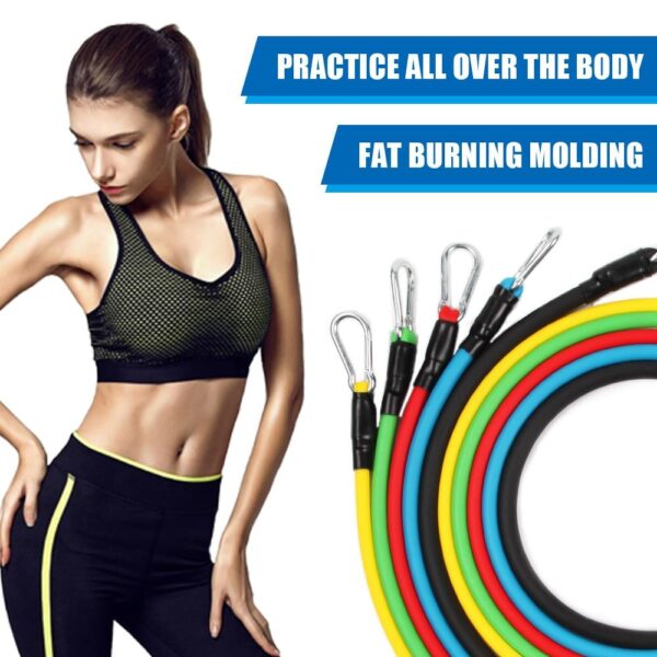 Resistance Band Set With Handle and Door Anchor (13pc) - Resistance Band - Only Fit Gear